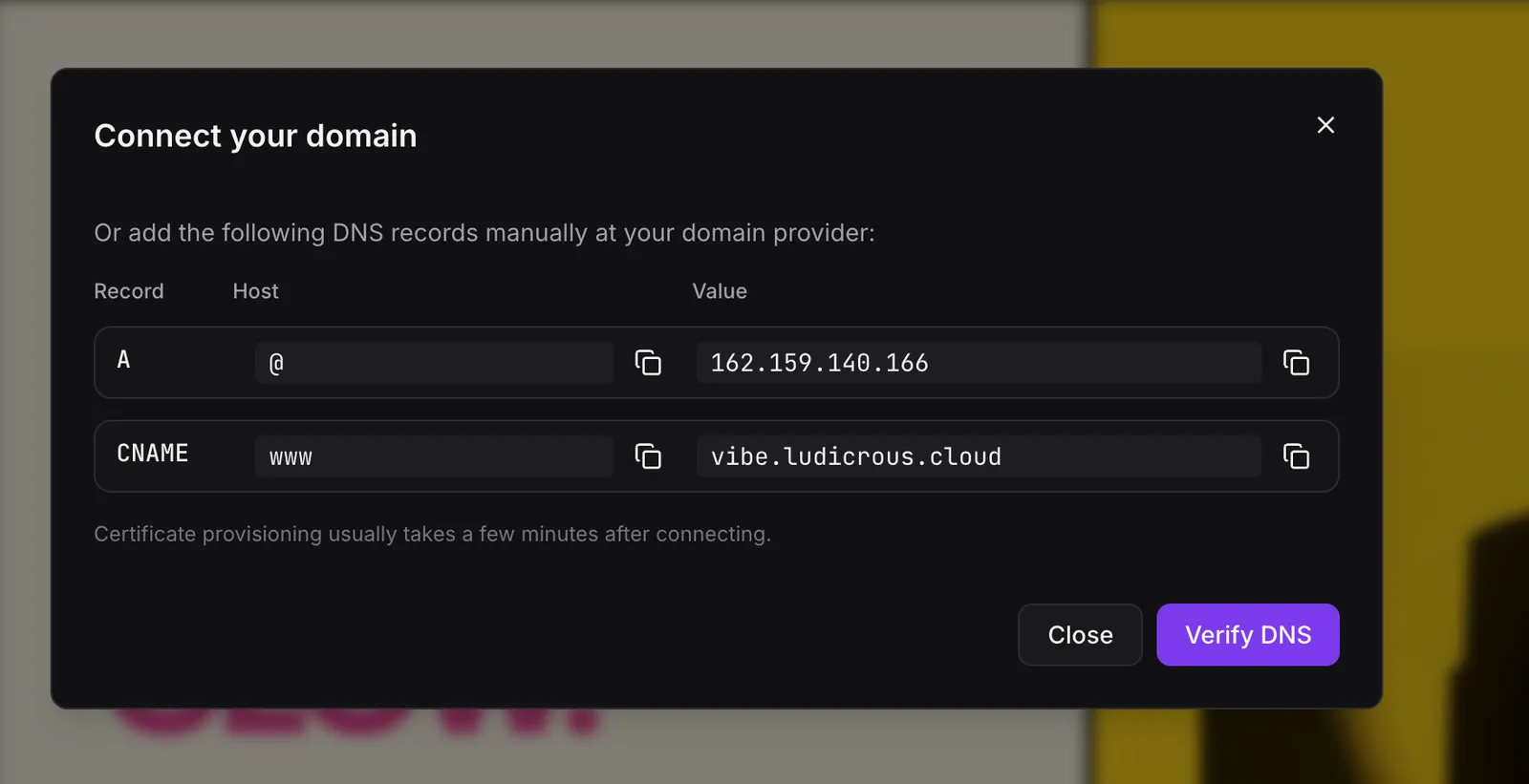 Verifica DNS in AI Studio
